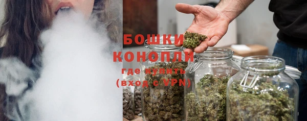Альфа ПВП Лагань