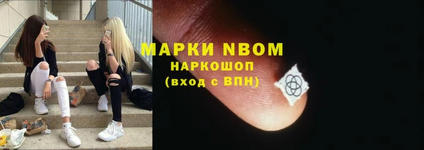 Альфа ПВП Лагань
