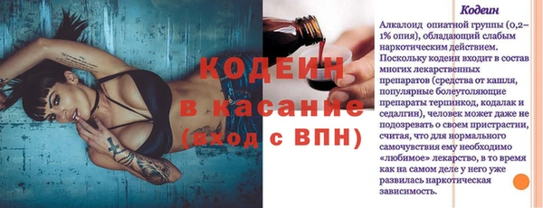 Альфа ПВП Лагань