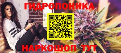 стафф Гусиноозёрск