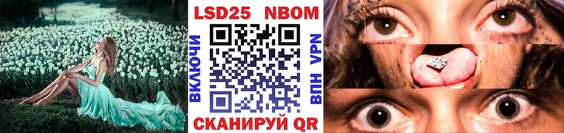 где можно купить   Курск  Марки N-bome 1,8мг 