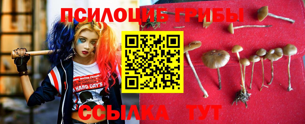 Курск  Галлюциногенные грибы Cubensis  Вход с VPN  Псилоцибиновые грибы ЛСД 